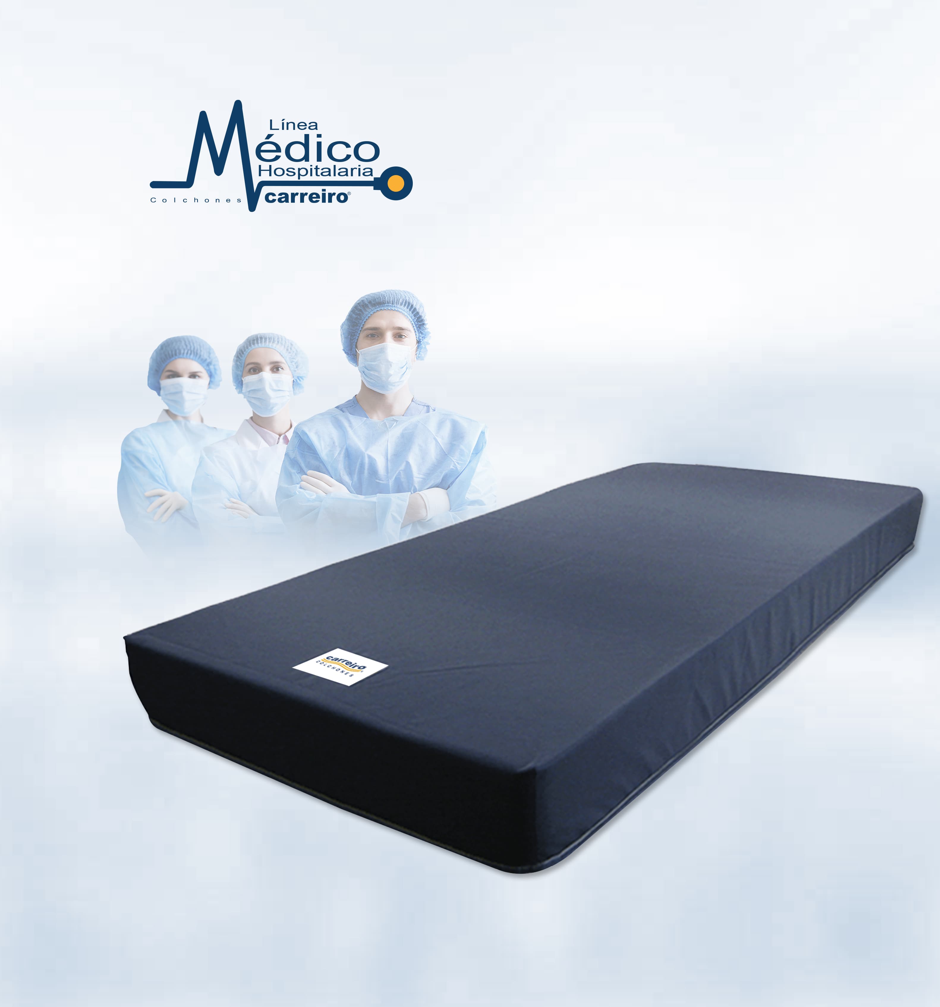 Servicio integral Carreiro